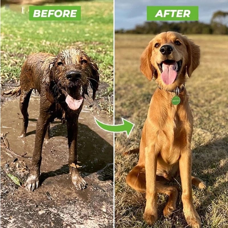 High-Pressure Pet Shower Gun