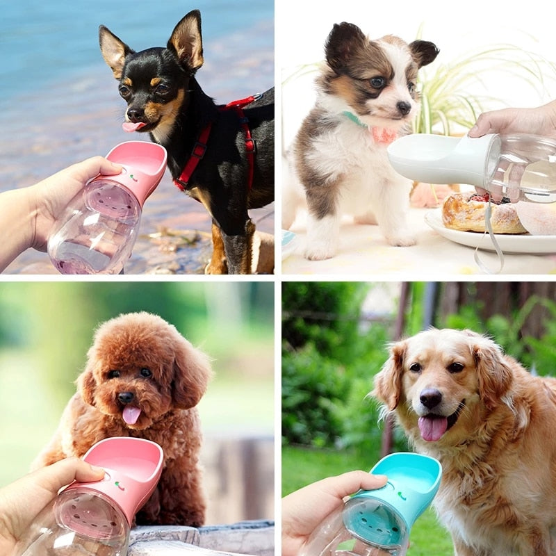 2in1 Portable Pet Water Bottle